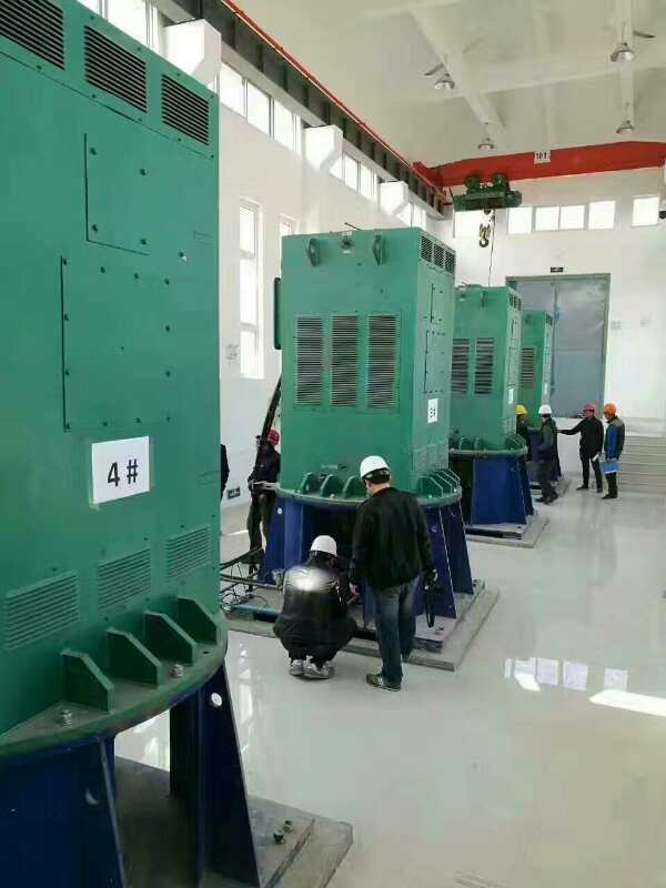 广河某污水处理厂使用我厂的立式高压电机安装现场